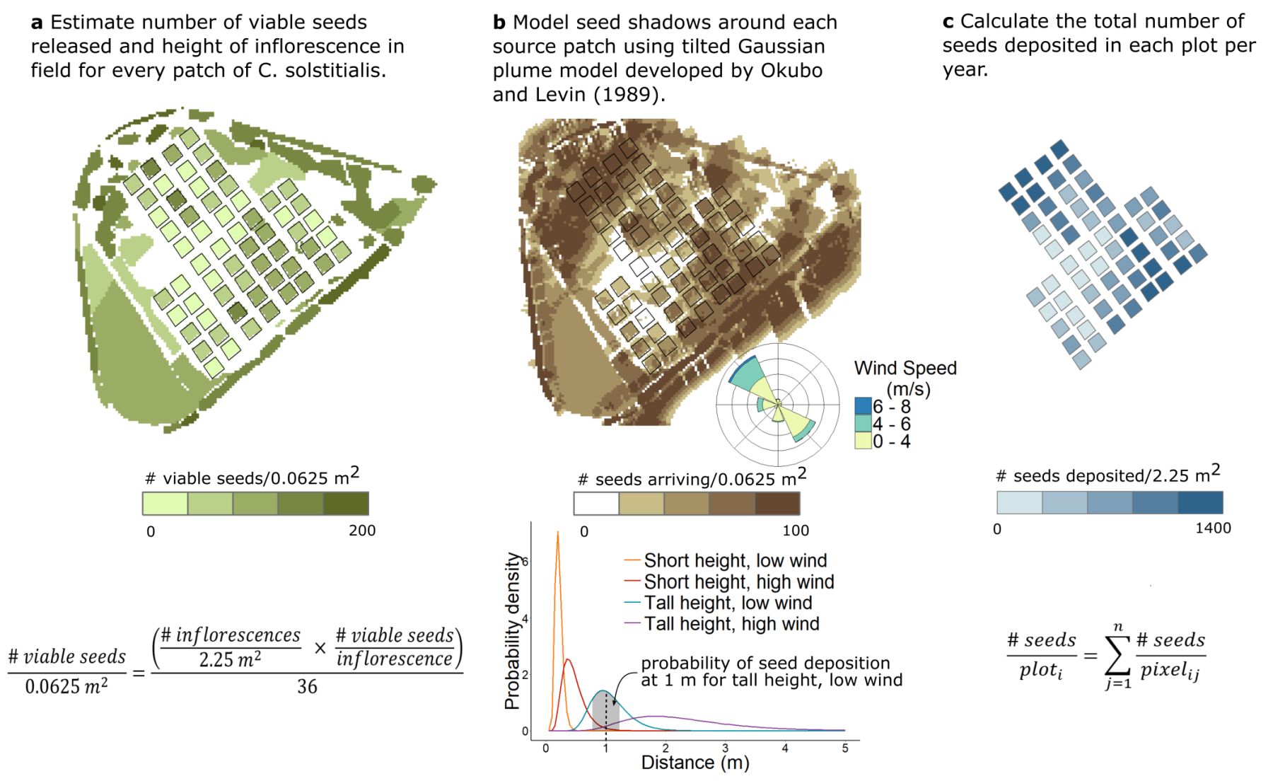 Infographic explaining how seed dispersal and propagule pressure were estimated for experimental plots.