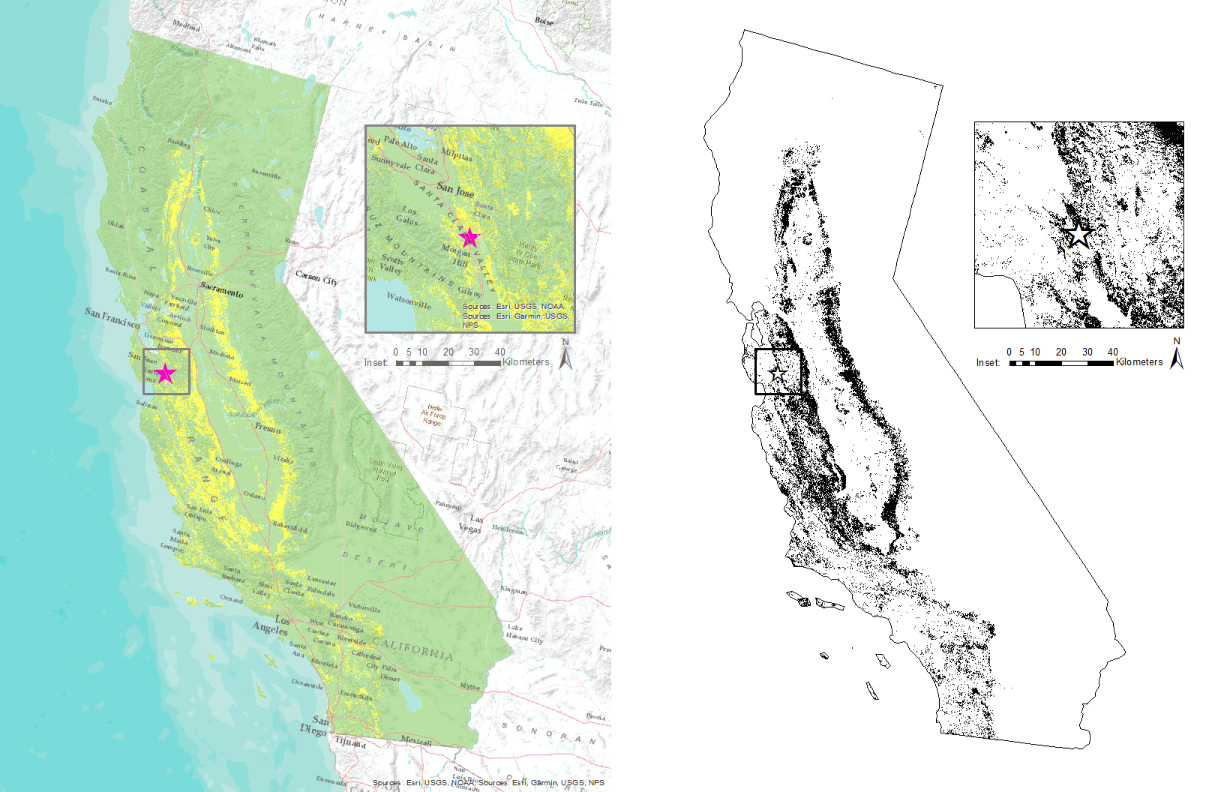 Two maps of California, one in color and one in black and white, both showing a study site in the context of the range of serpentine grassland across the state.
