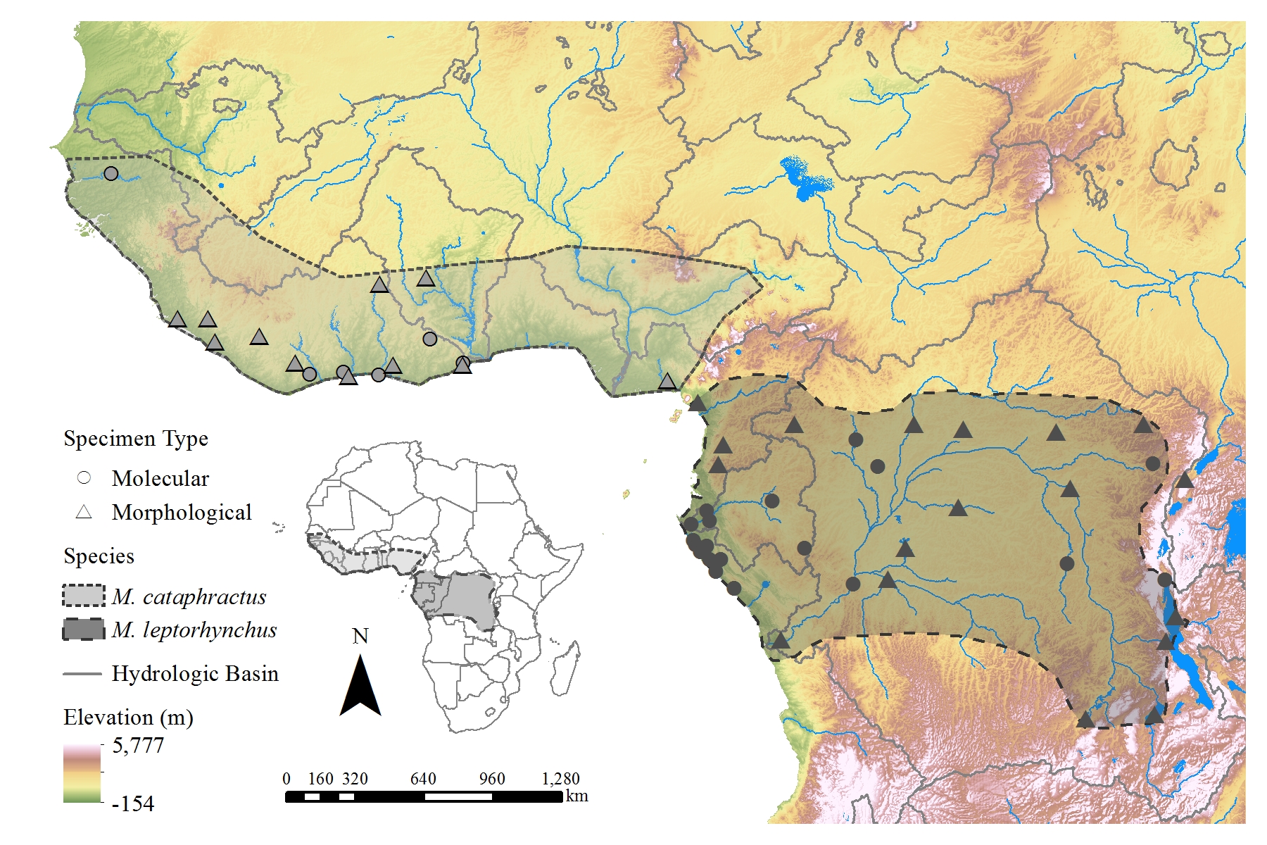 Distribution map for West African and Central African slender-snouted crocodiles.